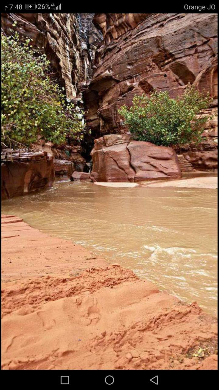 Climbers House In Wadi Rum Bagian luar foto